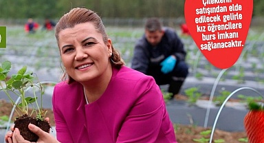 Çilek Köyü'nde hasat zamanı! Geliri eğitimde kullanılacak