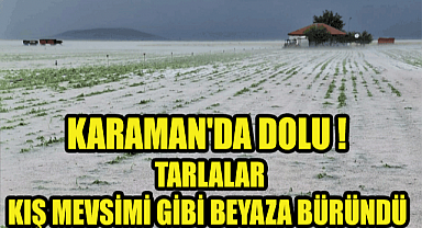Karaman'da dolu ekili arazilere zarar verdi, tarlalar kış mevsimi gibi beyaza büründü