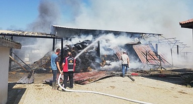 Bilecik’te at çiftliğinde büyük yangın