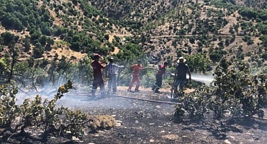 Bingöl'deki orman yangını kısa sürede söndürüldü