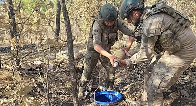 Şırnak'ta 5 terörist etkisiz hale getirildi