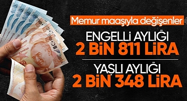 Yaşlı aylığı Engelli aylığı artırıldı