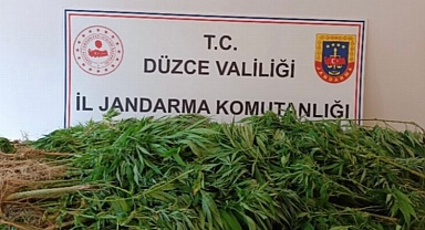 Düzce'de jandarmadan uyuşturucu operasyonu