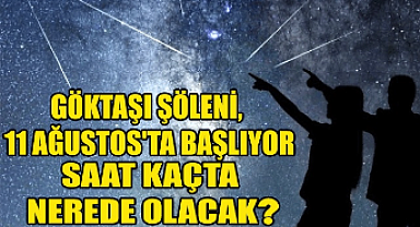 Meteor(göktaşı) Yağmuru 12-13 Ağustos'da Karaman'dan da izlenebilecek mi?