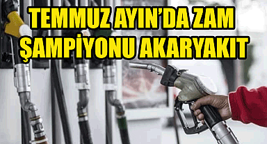 TÜİK: Temmuz Ayında fiyatı en fazla artan ürün