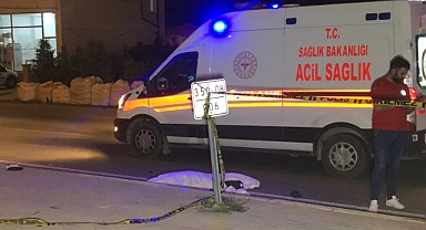 KARI KOCAYA ARABA ÇARPTI: 2'SİDE HAYATINI KAYBETTİ