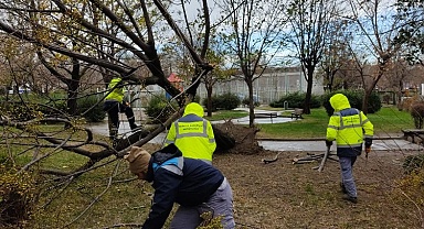 Bursa Yıldırım'da lodosla etkin mücadele