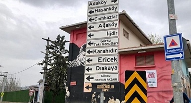Deveci armudunun üretildiği Gürsu'nun köylerinde beklentiler neler?