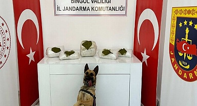 Bingöl’de toprağa gömülü toz esrar bulundu