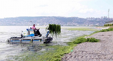 Dere, deniz ve kıyılardan 49 kamyon katı atık