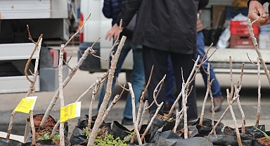 Konya'da kırsala 'Antep Fıstığı' desteği