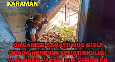 KARAMAN ORGANİZE SANAYİİ'NDE GİZLİ ODADA KENEVİR YETİŞTİRİCİLİĞİ YAPARKEN YAKAYI ELE VERDİLER 