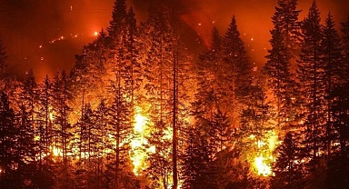 Bursa İtfaiyesi'nden orman yangınlara karşı duyarlılık çağrısı