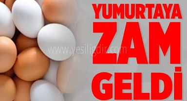 Yumurtaya Okkalı Zam geldi Ama Neden? Bunu etkileyen Faktörler nedir?