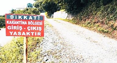 Karaman'da Şap Hastalığı Tespit Edildi: 7 Köy Karantina Altında