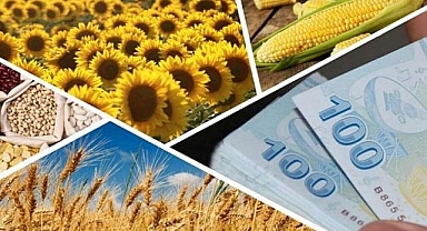 Gençler İçin Tarımda Girişimcilik ve İnovasyon Programı Başvuruları Başladı