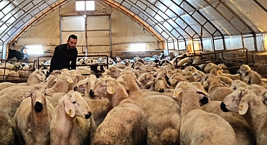 Mersinli Üretici 240 TL destekleme alırken Karamanlı üretici neden 200 TL alıyor?