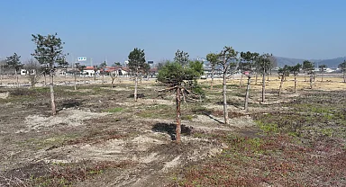 Sakarya’da yeşil cenneti Büyükşehir eliyle yaşatılıyor