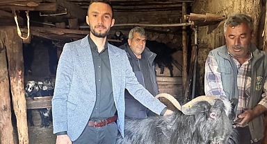 BU PROJELER KÜÇÜKBAŞ HAYVANCILIĞI COŞTURUR