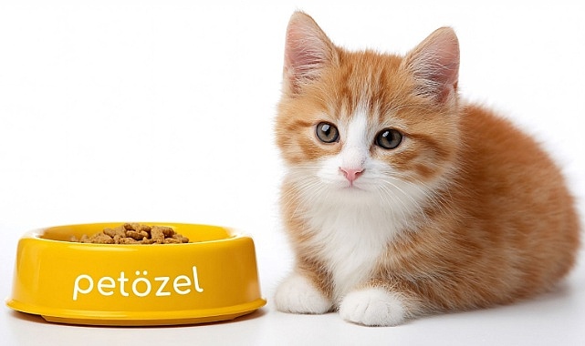 Kedi Maması Seçimi: Yavru, Yetişkin & Kısırlaştırılmış Kediler
