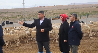 Ahmet Sevimli: “Üretici Afetlerle Boğuşurken Bu Karar Aleyhimize”