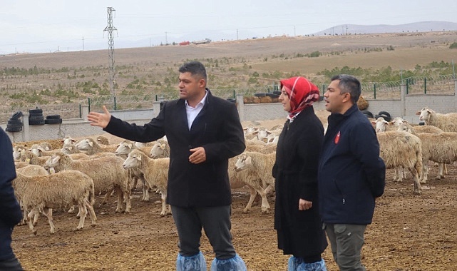 Ahmet Sevimli: “Üretici Afetlerle Boğuşurken Bu Karar Aleyhimize”