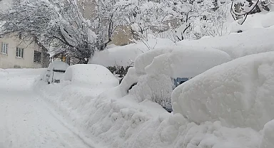 AFAD'dan Doğu ve Batı Karadeniz ile Doğu Anadolu'ya çığ uyarısı!