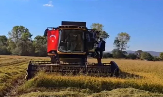 İstanbul'da yeni üretim sezonu için tohum ve fideler hazır