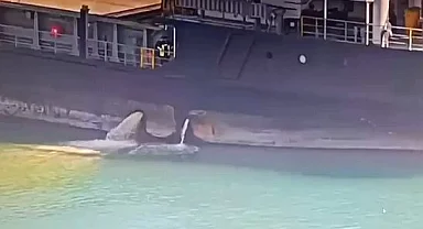 Mersin Limanı’nda denizi kirleten gemiye 13,1 milyon TL ceza