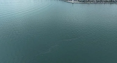 İzmir Körfezi’nde dış kaynaklı kirliliğin önüne geçilemiyor