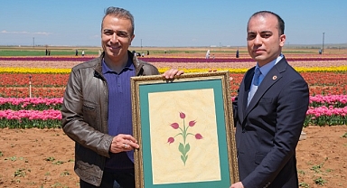 Kızılkuyu’da Lale Festivali Coşkusu: Yoğun Katılım Dikkat Çekti