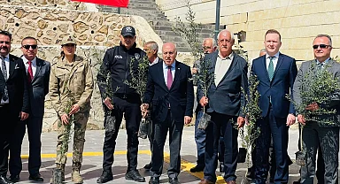 Mardin Yeşilli’de tarihi rekor! 102 bin meyveli fidan dağıtıldı