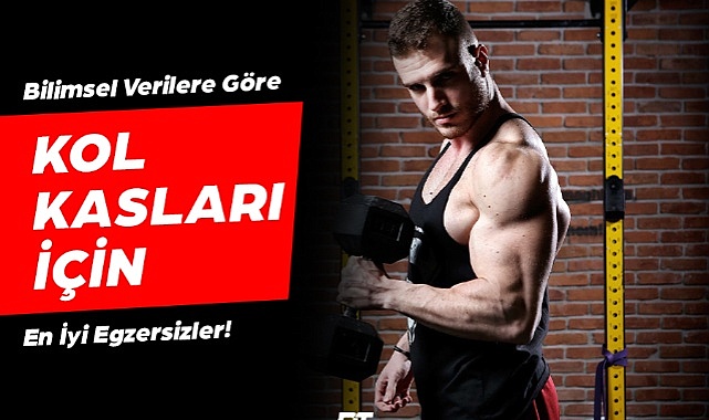 Üst Vücuduna Güç ve Netlik Kazandıran Doğru Adımlar