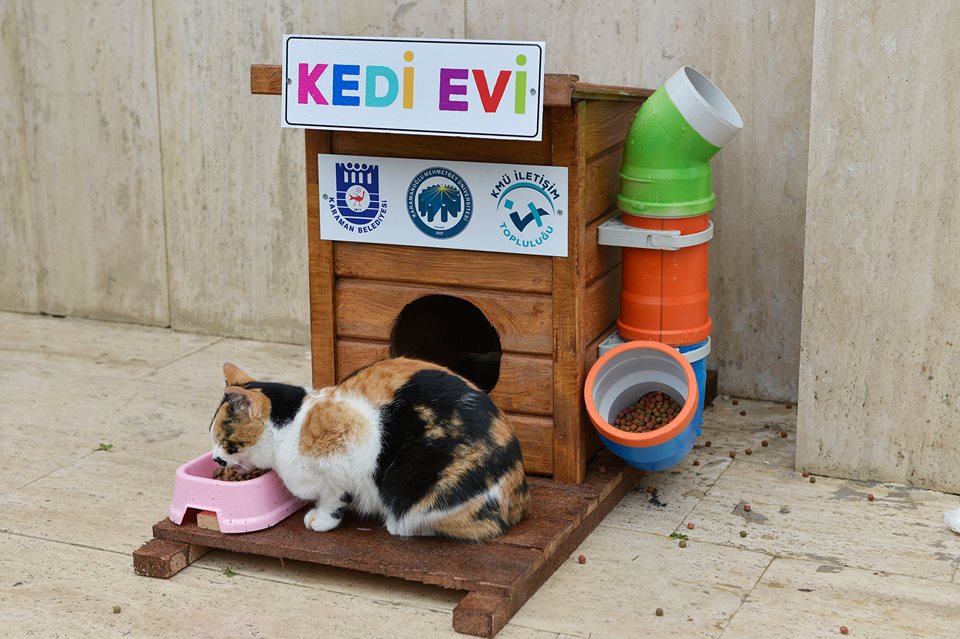 KMÜ'lü Öğrencilerden Sokak Hayvanlarına Ev