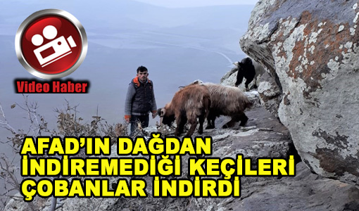 AFAD'IN DAĞDAN İNDİREMEDİĞİ KEÇİLERİ KENDİLERİ İNDİRDİ
