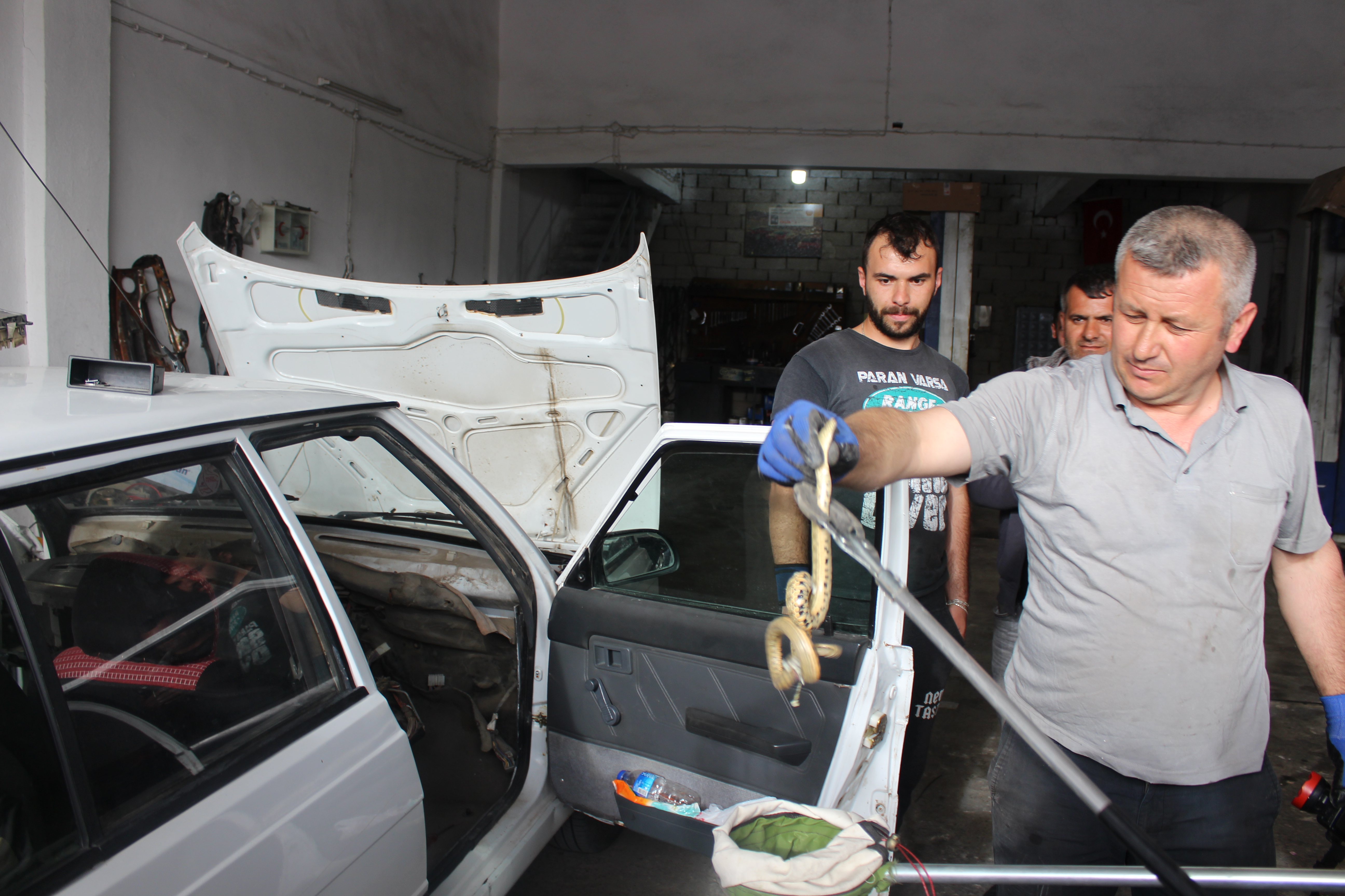 Otomobilin İçinde Beliren Yılan Sürücüyü Korkuttu