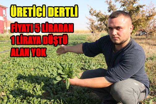 FİYATI 5 LİRADAN 1 LİRAYA DÜŞTÜ ALAN YOK