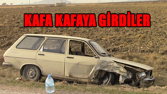 GÜDÜMEN YOLUNDA KAZA: 1 YARALI