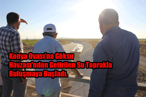 Konya Ovası'na Göksu Havzası'ndan Getirilen Su Toprakla Buluşmaya Başladı.
