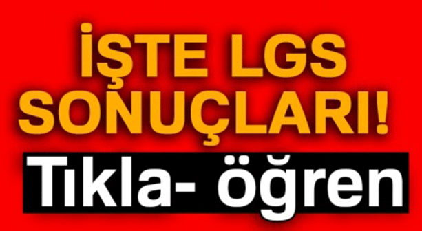 2019 LGS SONUÇLARI AÇIKLANDI