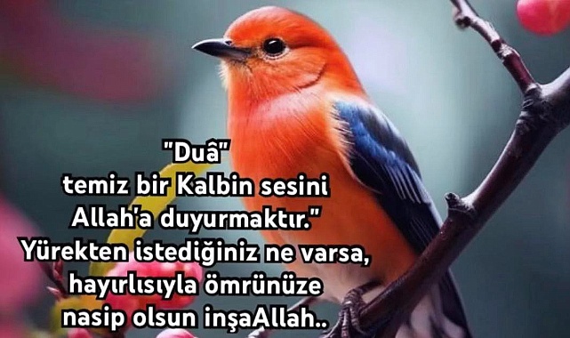 Hadi dua etmeye çıkalım!