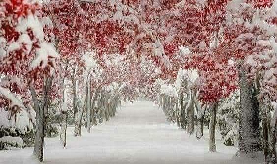 KIŞ AYLARINDA SAĞLIĞIMIZ KAPIDA BEKLİYOR