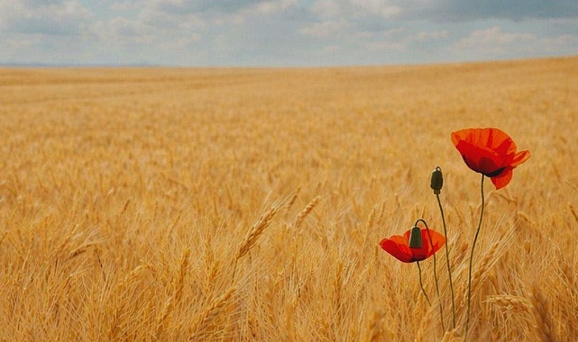 Bir varmış bir yokmuş…